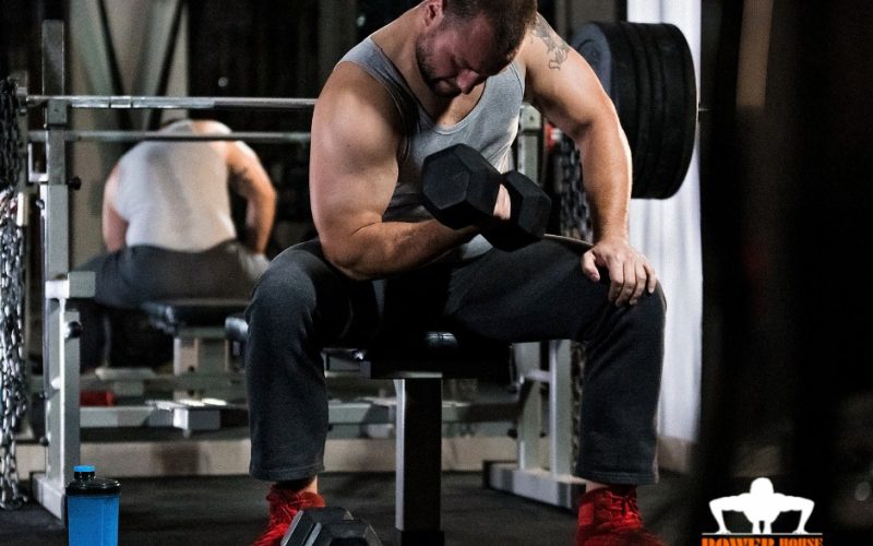 powerhouse neustadt orla fitness kraft